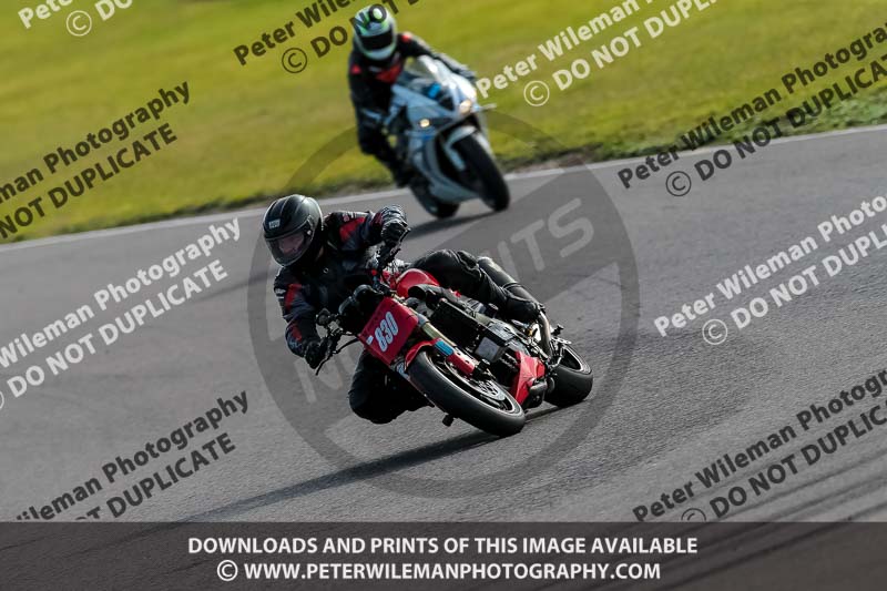 PJ Motorsport 2019;anglesey no limits trackday;anglesey photographs;anglesey trackday photographs;enduro digital images;event digital images;eventdigitalimages;no limits trackdays;peter wileman photography;racing digital images;trac mon;trackday digital images;trackday photos;ty croes